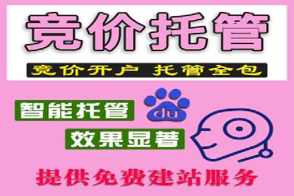 案例解读：SEM托管服务助力企业快速抢占市场份额